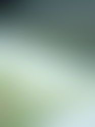 Eco-Friendly Printing in 2026: How to Print Sustainably & Why It Matters for Your Business