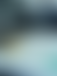 Offset vs Digital Printing: Which is Best for Your Business?