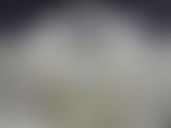 Acta solemne de médicos, patólogos y farmacéuticos de Guadalajara