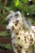A needle felted spotted pony.