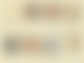 Equipo fotográfico. Siglo XX.