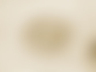 O. Quadrosi anfitrión de Schistosoma Japonicum