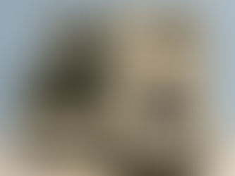 Estación de trabajo TQ-PREP Beckman Coulter