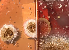 WhatsApp Image 2022-06-04 at 1.40_edited.jpg