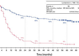 Lorli Graph.jpg