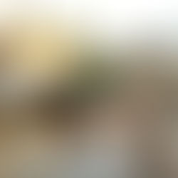 From Surviving To Thriving – Empowering Growth And Transformation Through Counselling