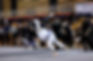 Get Smoked – Power Development Models For Brazilian Jiu-Jitsu