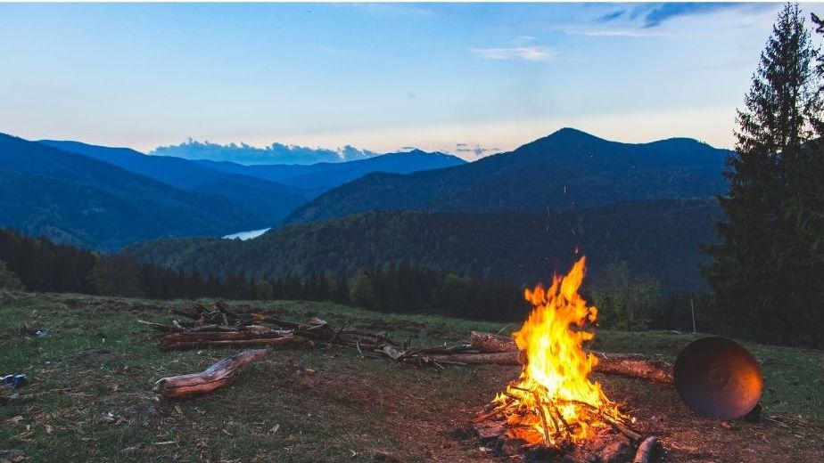 Bon fire at the top of the forest.