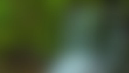 Find Your Inner Calm – The Therapeutic Processes Of Long-Exposure Photography