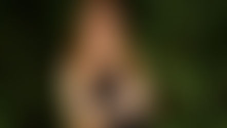 What Do We Value? ‒ Exclusive Interview With Amanda Feaver