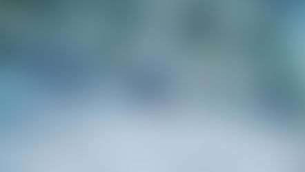 Onsite Shredding: The Key to Confidentiality in 2025