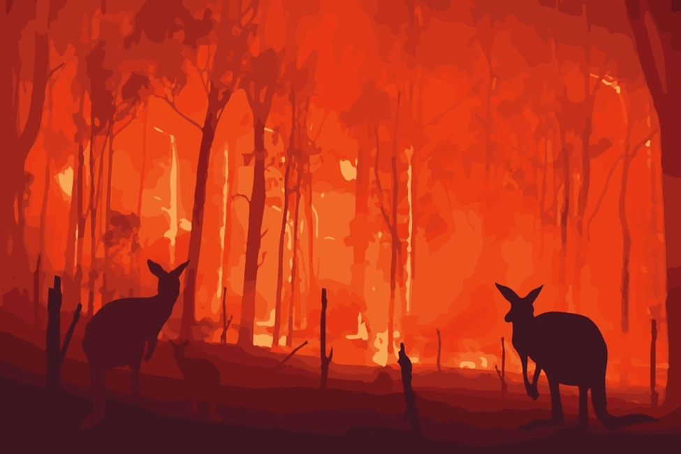 photo illustration of kangaroos in the forest fire