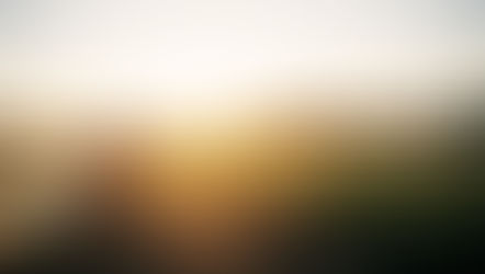 Getting Started With Sustainable Agriculture Via Agrivoltaics