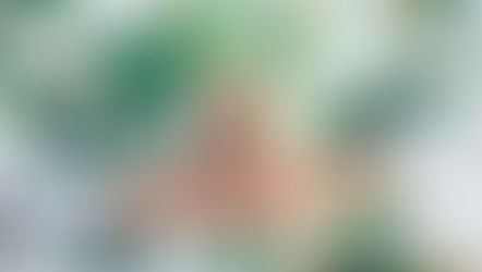 Maximize Your Wealth – Discover The Benefits Of Bright Wealth Banking