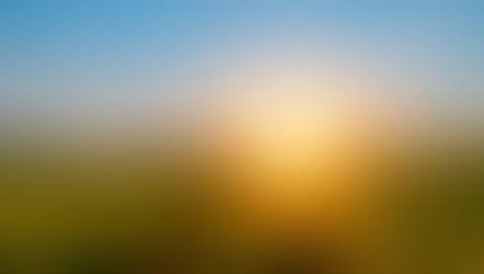 How To Empower Ourselves To Harvest From The Past And Store For The Future