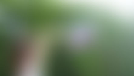 Unlocking Authentic Living – The Power Of Inner Child Healing