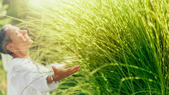 Harnessing The Power Of Rapid Transformational Therapy (RTT) To Raise Your Energy And Manifest Your Dream Life