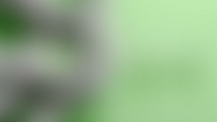 Echoes Of World Mental Health Day – Testing The Temperament Of Those At The Top?