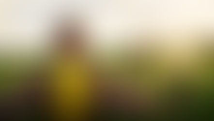 How To Avoid Common Mistakes To Parents Make With Young Athletes