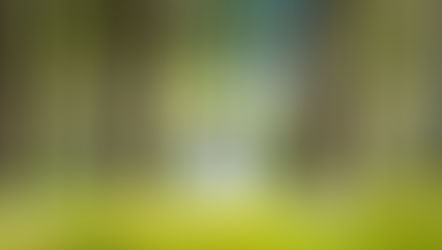 How Spirituality Leads To Inner Peace?