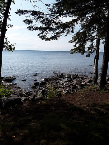 20230817_091552.jpg