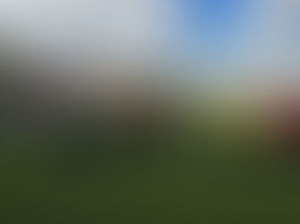 Encuentro Mayores Camarena