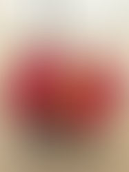 Resumen - Ayto. Fuensalida Baloncesto