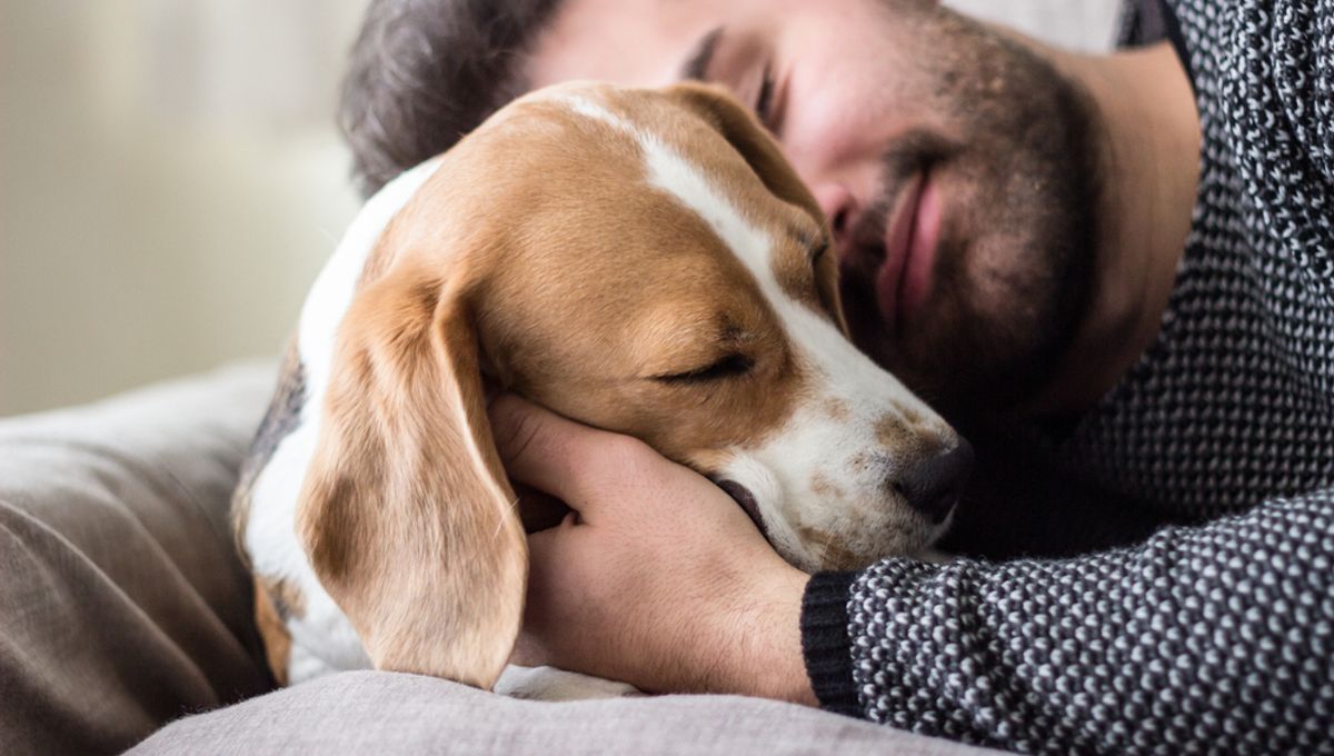 A natural Ayurvedic remedy to reduce pet anxiety and stress.