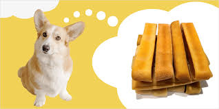 A happy dog enjoying a nutritious yak chew treat.