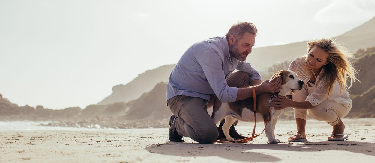 A happy and healthy pet sitting in a serene natural setting, surrounded by Ayurvedic herbs and Indofolk wellness ingredients, symbolizing holistic pet care and natural healing practices.