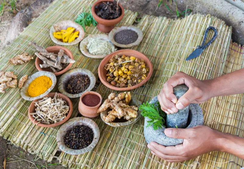 A team of Ayurvedic experts wearing traditional attire working in a modern laboratory with scientific equipment, herbs, and glassware on display