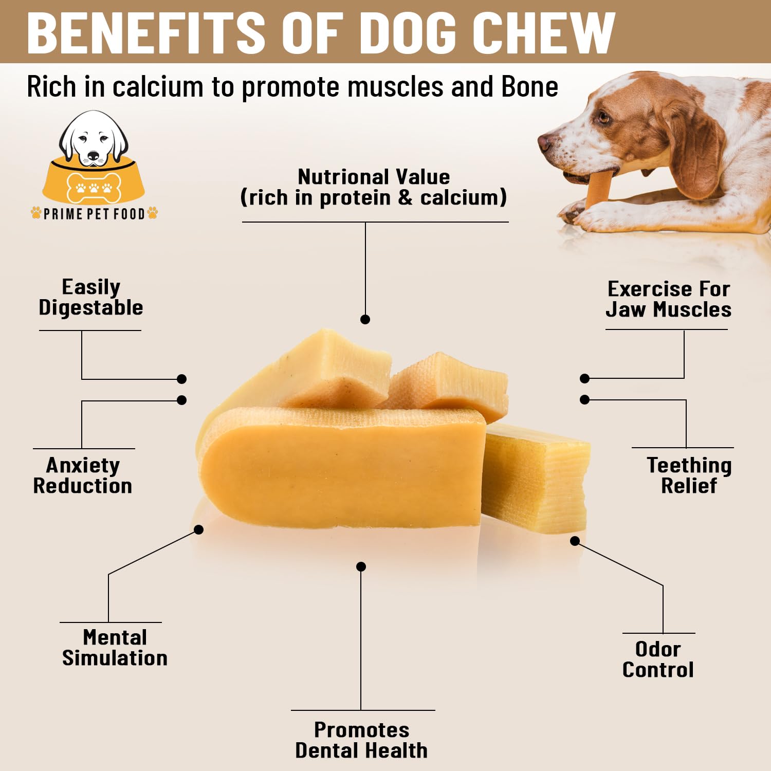 A dog happily chewing on a long-lasting Himalayan yak chew, staying engaged and entertained