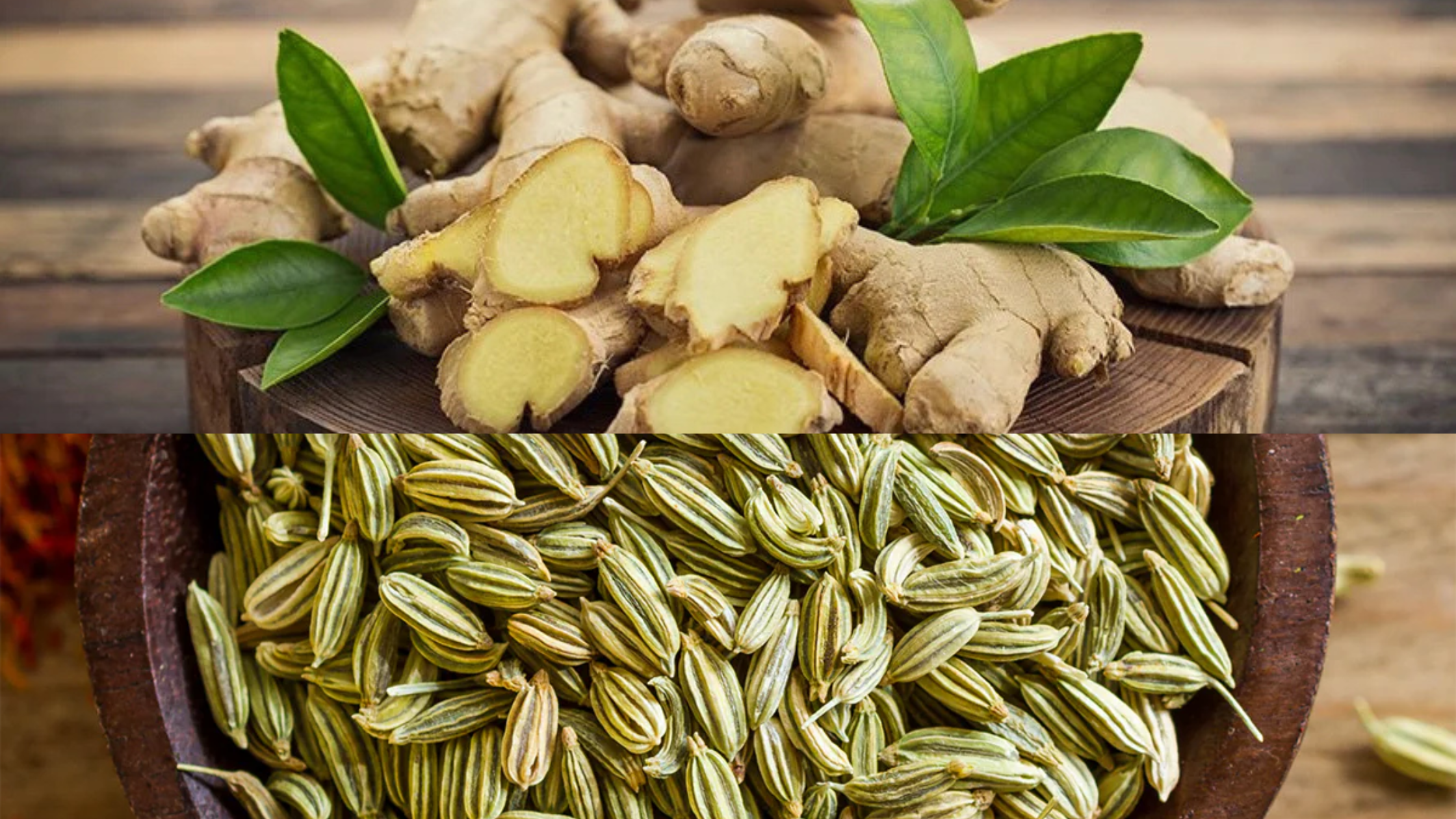 A pet food bowl with fresh ingredients like ginger and fennel seeds, promoting digestive health