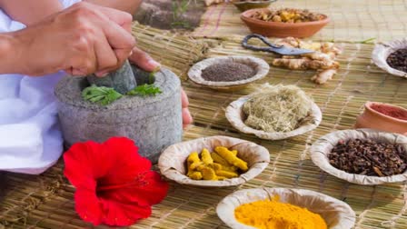 A variety of Ayurvedic herbs and supplements, essential for enhancing your pet's natural wellness.