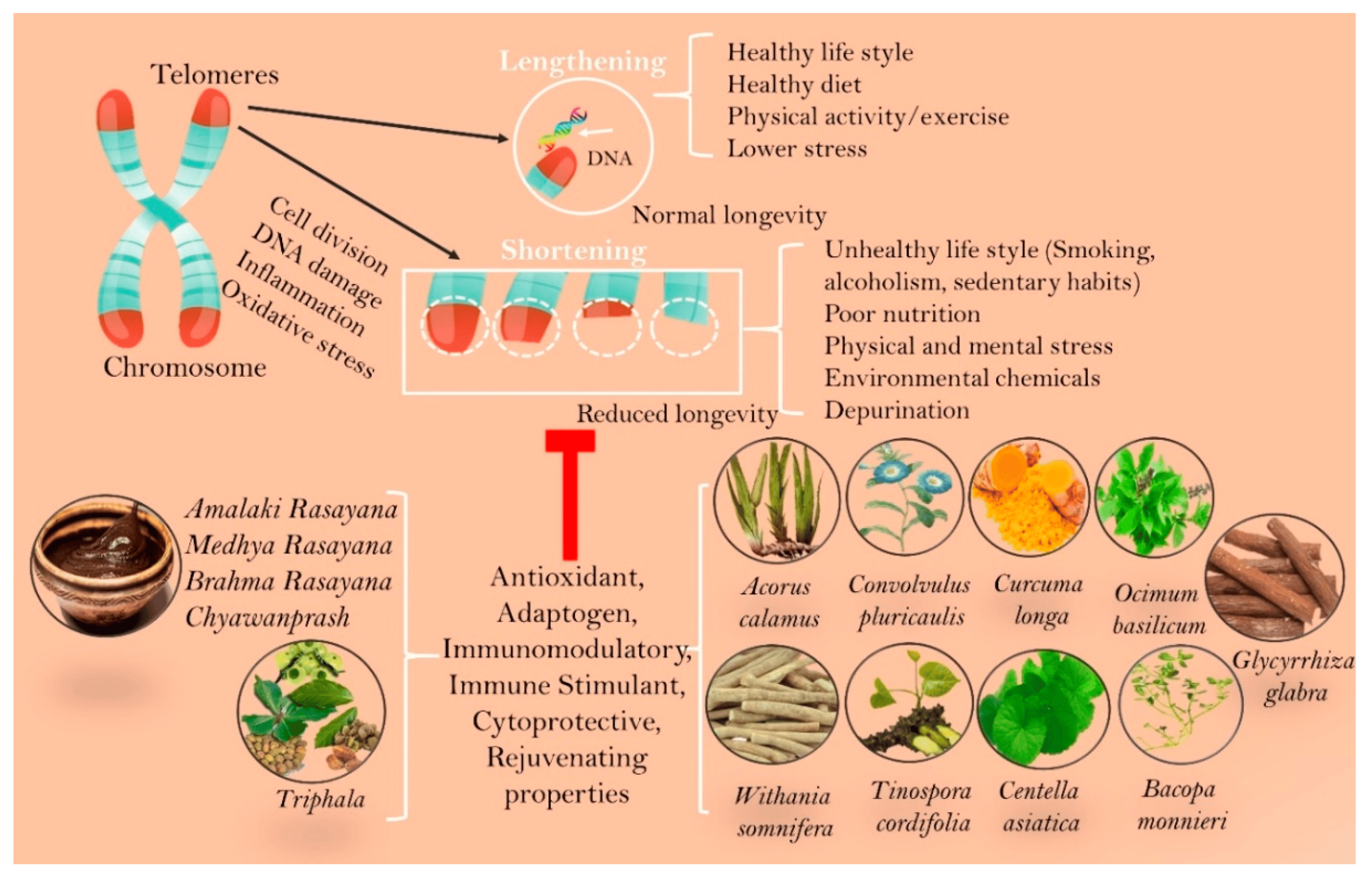 Detoxification through Ayurvedic Panchakarma therapy, including herbal enema and cleansing