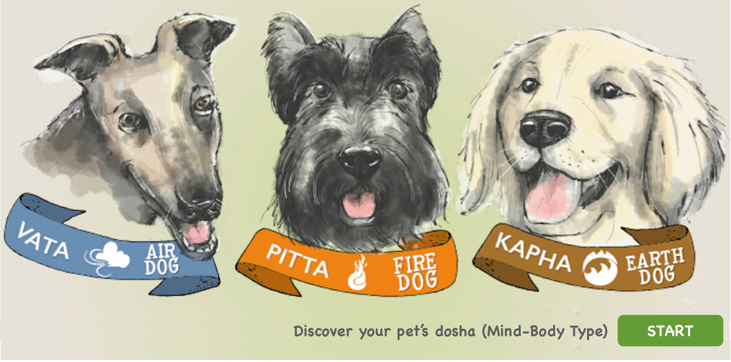 A visual representation of the three doshas (Vata, Pitta, Kapha) for dogs and cats, explaining their unique traits and health needs.