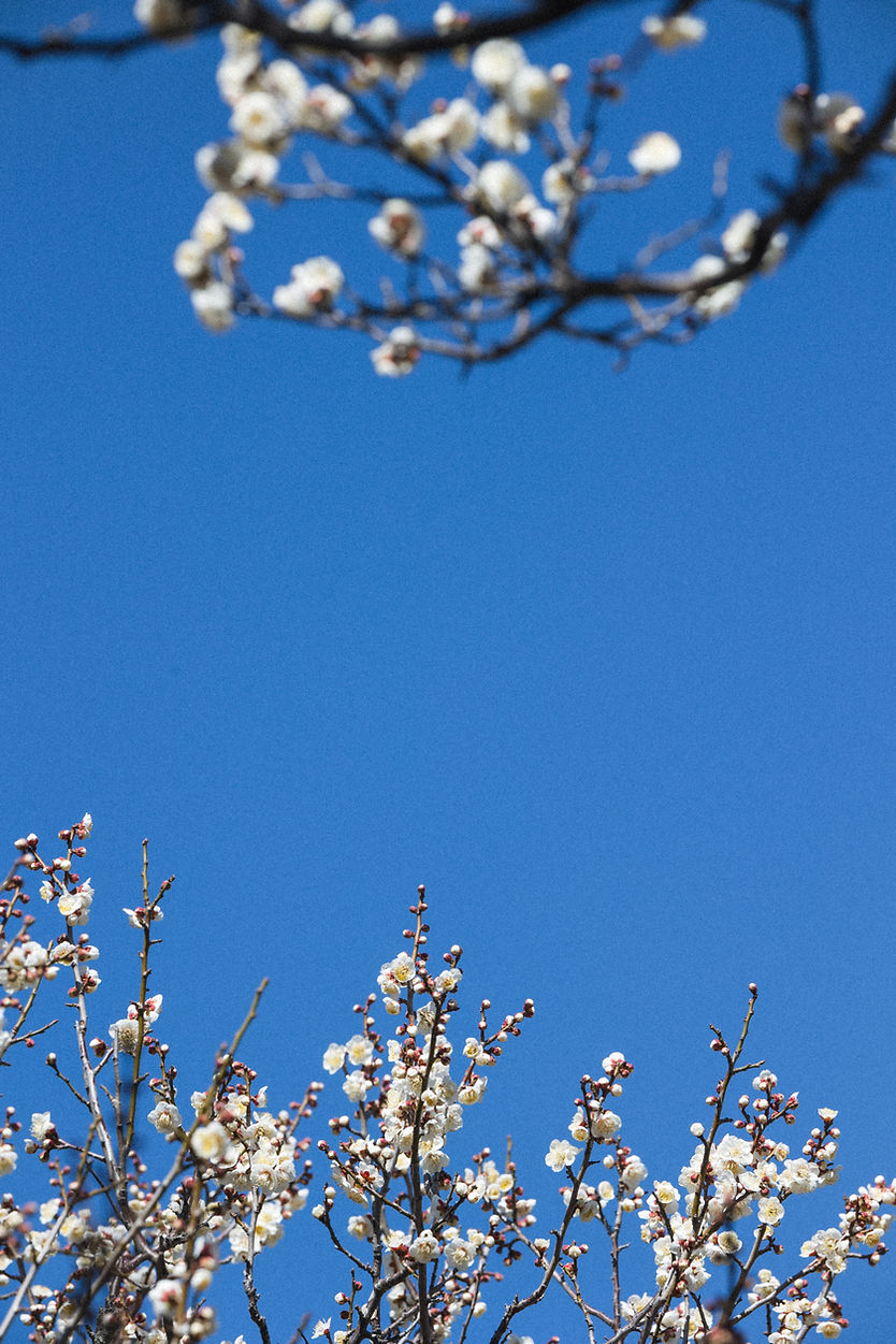 250219_048.jpg