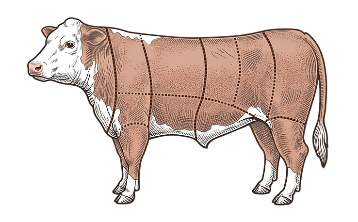 Cow Diagram_edited.png