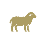 animalsilouettes_edited_edited.png