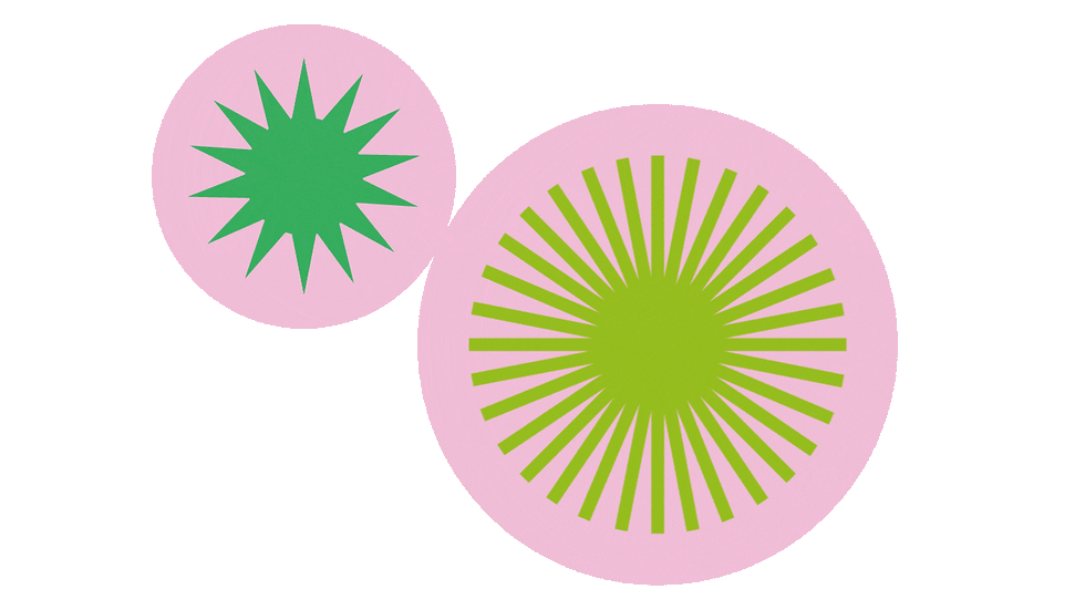 Image Creator for NatsWhy website 2.gif