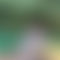 [무료야동사이트] 오늘의 동양야동