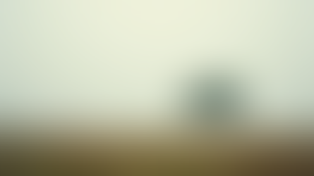 Trouver un Sens dans le Leadership avec Vanessa