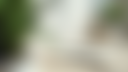 Coaching Professionnel pour Leaders et Entrepreneurs