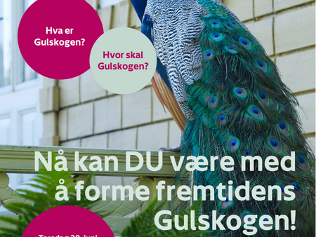 Nå kan DU påvirke Gulskogen og Strømsgodset IFs framtid!
