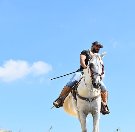 Discover Horse Back Riding