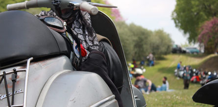 WhatsApp Image 2023-01-08 at 16.15.31.jpeg