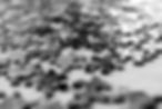 Puzzle for Website.jpeg