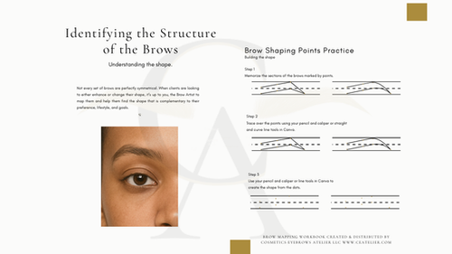 Professional Brow Mapping Training Manual | Advanced Brow Training for ...