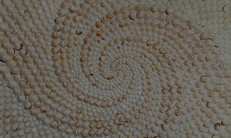 Sak Be_edited_edited.jpg