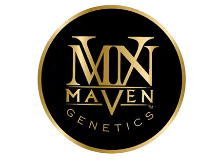 maven.jpg